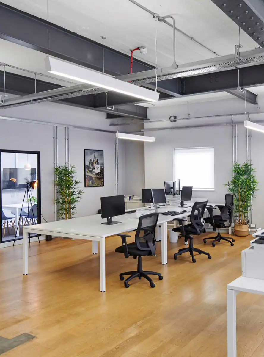 biophilic design